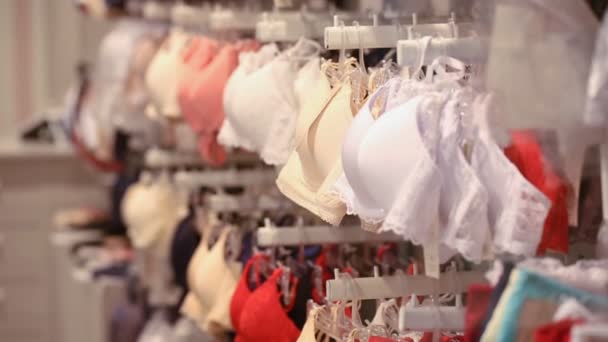 Behåar Underkläder Butik — Stockvideo
