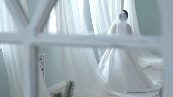 Bride Photo Shooting Reflection Mirror — Stock Video