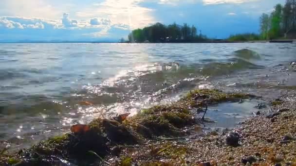 Calm Waves Lake Light Sunset — Stock Video