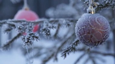 Süslenen Noel ağacı dışında