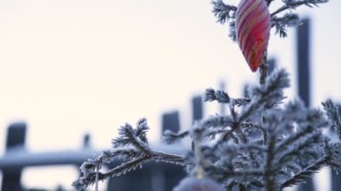 Süslenen Noel ağacı dışında