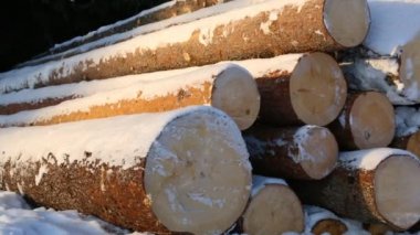 Karla kaplı yığını günlükleri