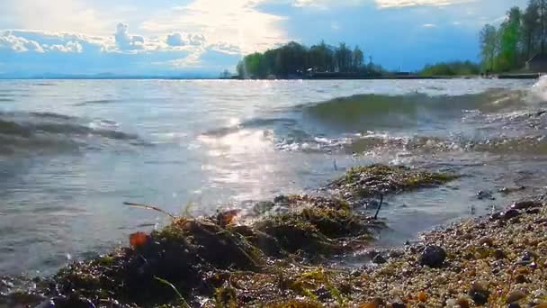 夕阳下的湖面上平静的波浪 — 图库视频影像