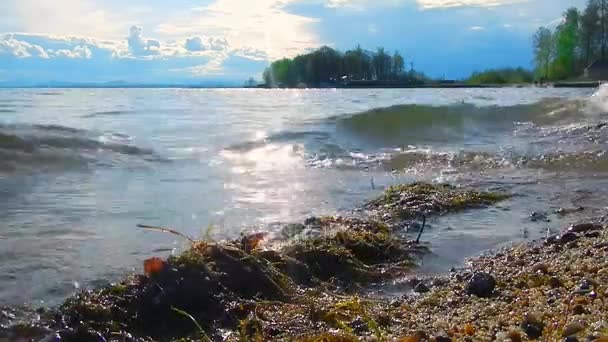 Olas Tranquilas Lago Luz Del Atardecer — Vídeo de stock