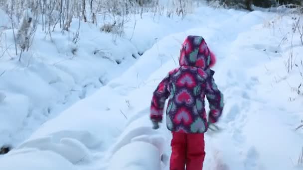 Kind Met Spar Tak Loopt Door Het Bos Van Sneeuw — Stockvideo