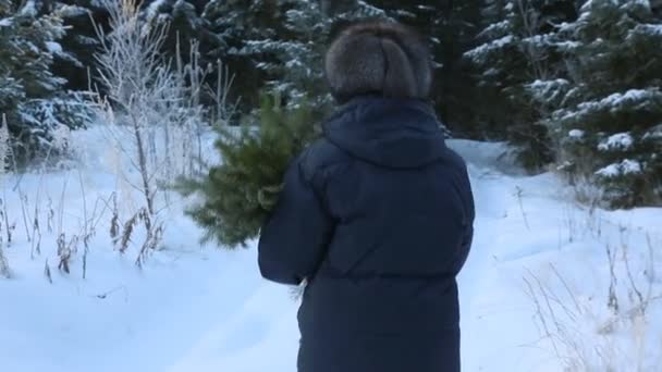 雪の森を歩くモミの枝を持つ女性 — ストック動画