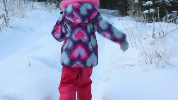 Criança Com Ramo Abeto Correndo Pela Floresta Neve — Vídeo de Stock