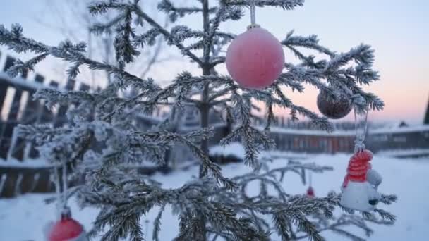 Διακοσμημένο Χριστουγεννιάτικο Δέντρο Έξω Από — Αρχείο Βίντεο