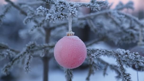 Weihnachtsbaum Draußen Geschmückt — Stockvideo