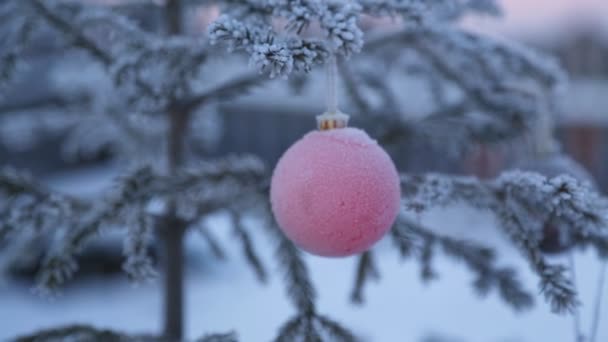 Weihnachtsbaum Draußen Geschmückt — Stockvideo