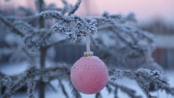 Árbol Navidad Decorado Afuera — Vídeos de Stock