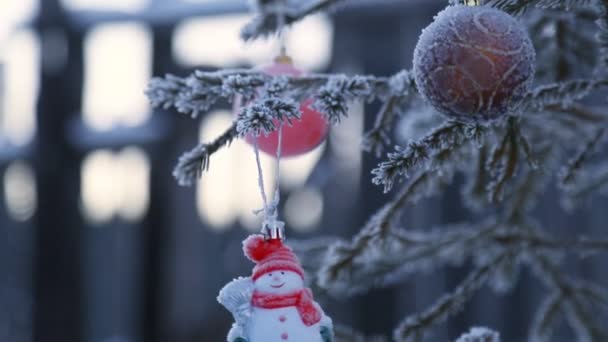 Arbre Noël Décoré Extérieur — Video