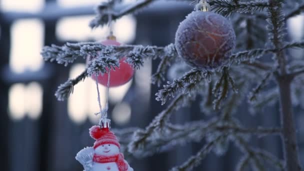 Weihnachtsbaum Draußen Geschmückt — Stockvideo