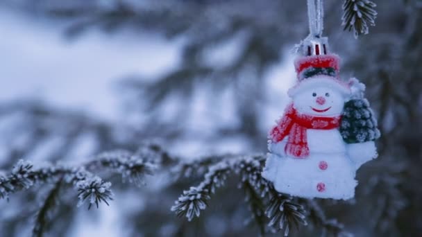 Árbol Navidad Decorado Afuera — Vídeos de Stock