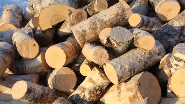 Pile Firewood Snow — Wideo stockowe