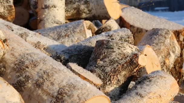Pile Firewood Snow — Stock Video