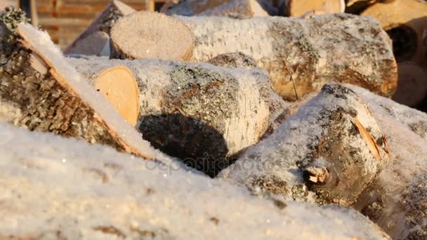 Pile Firewood Winter — Stock Video