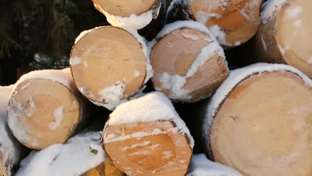 Schneebedeckter Holzstapel — Stockvideo