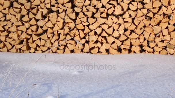 Pile Firewood Snow — Stockvideo