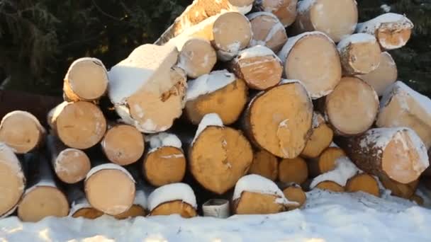 Sneeuw Bedekte Stapel Van Logboeken — Stockvideo