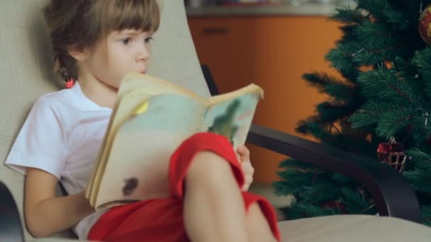 Menina Pequena Lendo Livro Frente Árvore Natal — Vídeo de Stock