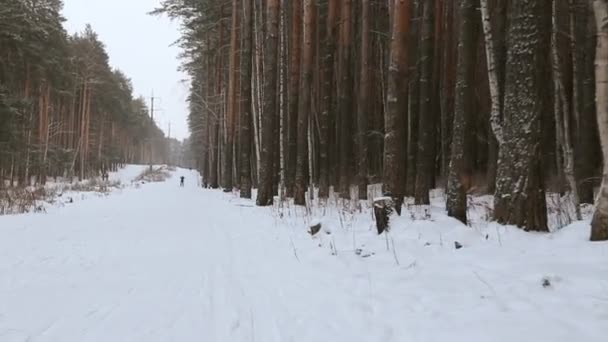 Moviéndose Largo Pista Esquí Bosque — Vídeo de stock