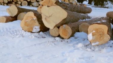 Günlükleri üstünde kar yığını