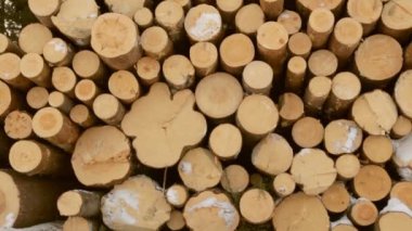 Günlükleri üstünde kar yığını