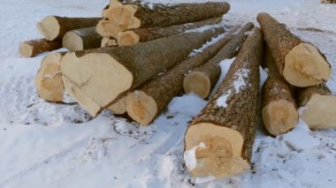 Günlükleri üstünde kar yığını