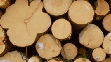 Günlükleri üstünde kar yığını