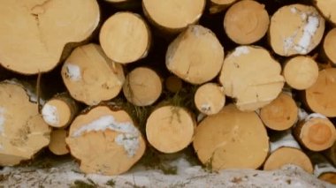 Günlükleri üstünde kar yığını