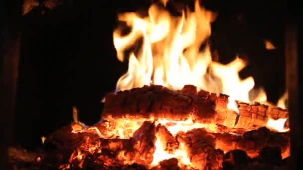 Firewood Burning Stove — Stock Video