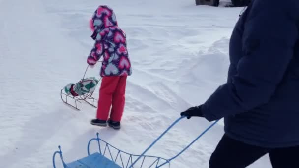 Small Girl Pushing Sled Doll — Stock Video