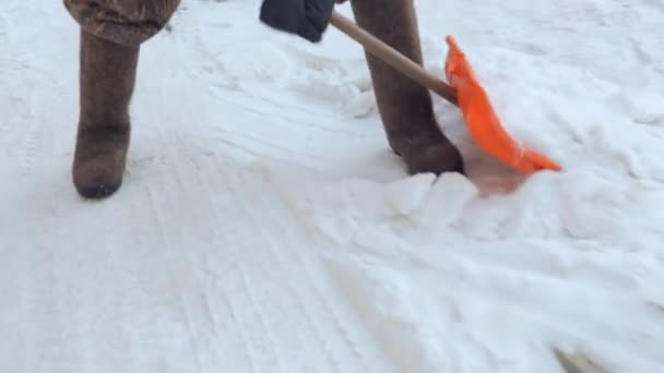 雪の庭の清掃管理人 — ストック動画