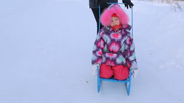 Γυναίκας Που Ωθεί Έλκηθρο Μικρό Κορίτσι Χειμώνα — Αρχείο Βίντεο