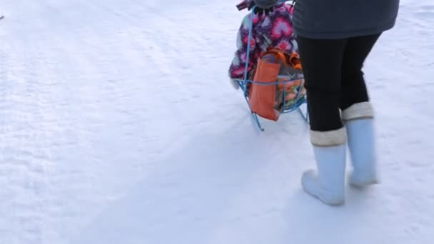 Woman Pushing Sled Small Girl Winter — Stock Video