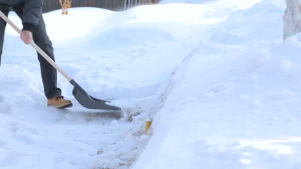 Yeard Voor Sneeuw Schoonmaken Met Schop — Stockvideo