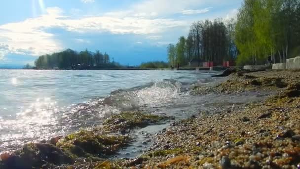 Vagues Calmes Sur Lac Lumière Coucher Soleil — Video