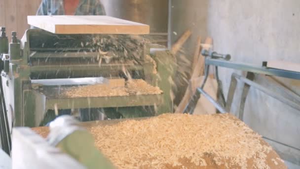 Gouging Wooden Square Beam Machine — стоковое видео