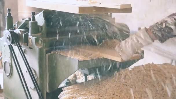 Gouging Wooden Board Machine — Stock Video