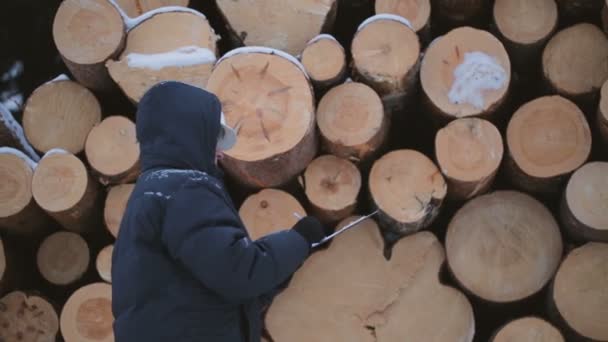 Werknemer Met Tablet Tegen Stapel Van Logboeken — Stockvideo