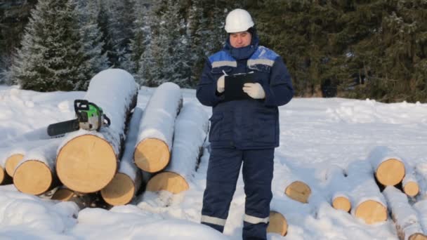 Trabajador Con Tableta Cerca Montón Troncos Bosque — Vídeos de Stock