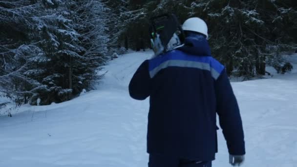 Працівник Ланцюговою Пилкою Плечі Проходить Через Ліс — стокове відео