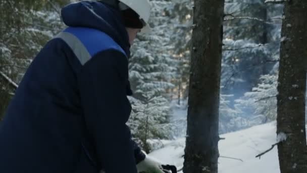 Werknemer Zagen Met Kettingzaag Winter Forest — Stockvideo