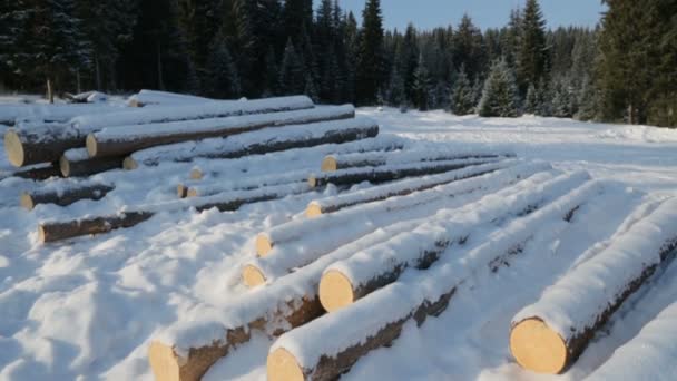 Holzstapel Auf Schnee Wald — Stockvideo