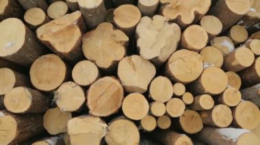 Büyük kış orman günlüklerinde yığını