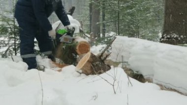 İşçi kış ormandaki testere ile kesme
