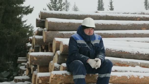 Arbetare Som Vilar Stora Högen Stockar Vinter Skog — Stockvideo