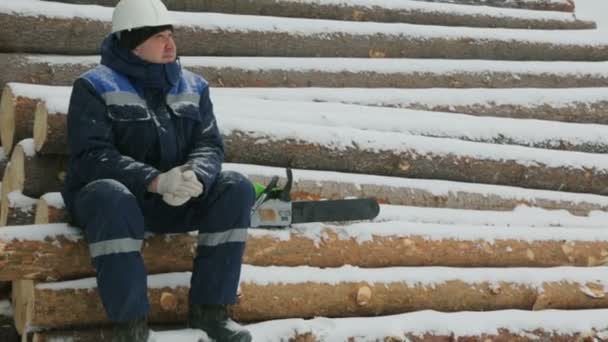 Trabajador Descansando Sobre Una Gran Pila Troncos Bosque Invierno — Vídeo de stock