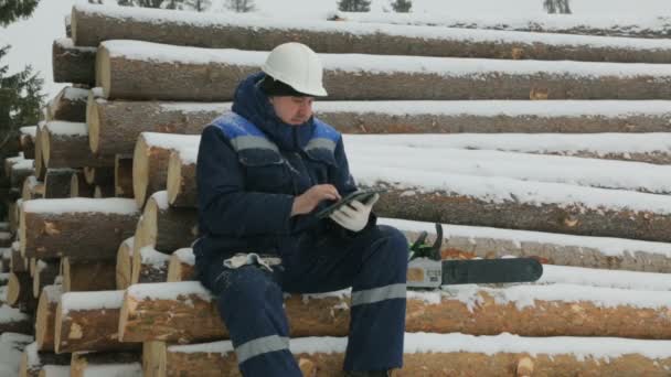 Trabajador Con Tablet Gran Pila Troncos Bosque Invierno — Vídeo de stock